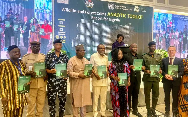 Nigeria Launches Enforcement Team To Combat Trafficking Mediaage NG The Nigerian government and other stakeholders have made efforts to combat trafficking by establishing a Wildlife Enforcement Task Force, WLETF, within the West Africa sub-region.