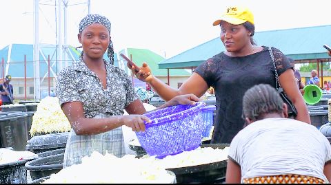FCT ACReSAL Impact Stories: Focus on Sheda Community, Kwali Area Council Mediaage NG According to a United Nations report in 2022, human activities are damaging and degrading the lands of the Earth in almost an unsustainable fashion. A large percentage of land has already been devalued, mainly through modern agricultural activities.