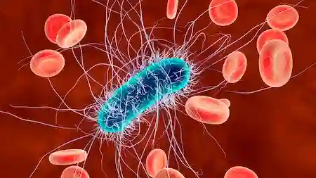 World Leaders Converge in Nigeria for Defining Moment in Fight Against Superbugs Mediaage NG Nigeria will take centre stage in the global health arena as it prepares to host the 5th High-Level Ministerial Meeting on Antimicrobial Resistance (AMR) from June 28 to 30, 2026. Marking a historic first for Africa, the summit will convene representatives from more than 100 countries in Abuja to confront the escalating threat of drug-resistant infections.