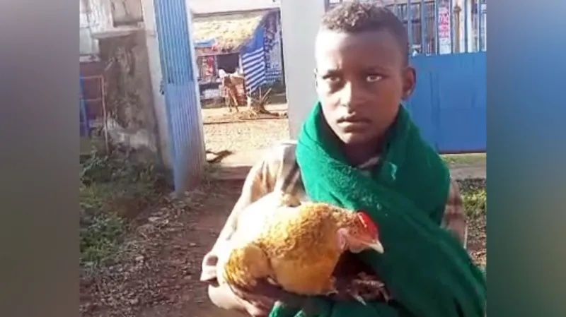 Ethiopian Boy Goes Viral After Seeking Hospital Care for Sick Chicken Mediaage NG A young Ethiopian boy has captured the attention of thousands online after taking his sick chicken to a hospital in a bid to save its life.