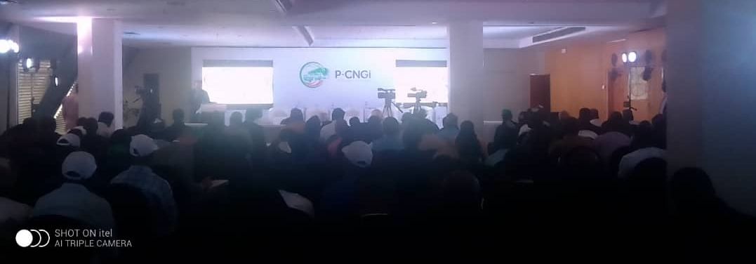 Boundless Opportunities In Nigeria's CNG - Program Director Mediaage NG The Program Director, Presidential Compressed Natural Gas Initiative (P-CNGi), Engr. Michael Oluwagbemi on Tuesday, described the boundless opportunities within the realm of Compressed Natural Gas (CNG) in Nigeria.