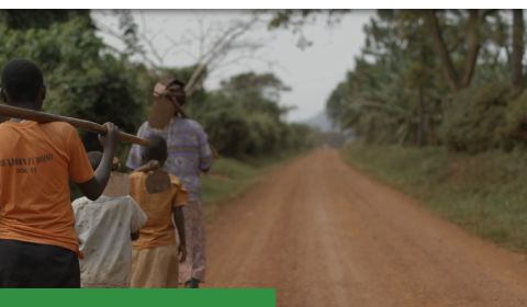 Children On The Move Are Children At Risk Mediaage NG (Mediaage NG News) - The latest UN International Migration Report 2020 shows that migration has slowed over the past year with an estimated 2 million fewer people in situations of migration between June 2019 and June 2020, predominately related to the global COVID-19 Pandemic. However, “hundreds of thousands of migrants were stranded, unable to return to their countries, while others were forced to return to their home countries earlier than planned, when job opportunities dried up and schools closed.” Natural disasters and conflicts are also major factors driving people to leave their homes.
