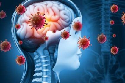 17 Students Die Of Meningitis Disease Mediaage NG Yobe state Commissioner for Education, Mohammed Sani-Idris said no fewer than 17 schoolchildren across five schools in the state have died after an outbreak of meningitis.