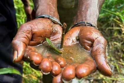 Nigeria Urged To Block Shell Oil Business Sale Mediaage NG Amnesty International has told the Nigerian government that unless human rights in the Niger Delta are protected, it must stop the sale by Shell of its onshore oil business in the country.
