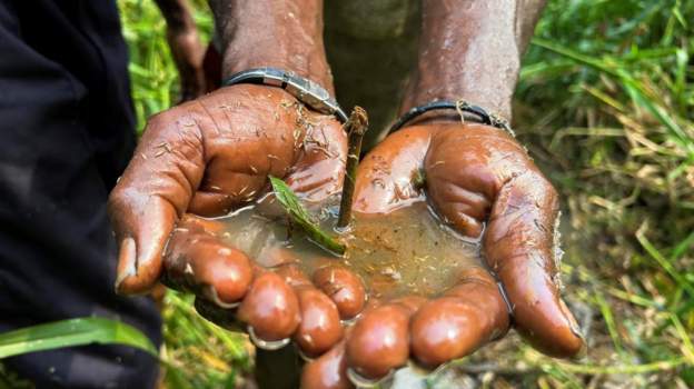 Nigeria Urged To Block Shell Oil Business Sale Mediaage NG Amnesty International has told the Nigerian government that unless human rights in the Niger Delta are protected, it must stop the sale by Shell of its onshore oil business in the country.