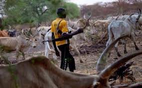 More than 40 Killed In Clash Between Residents And Herders In Plateau State Mediaage NG Violence started when the herders claimed some thieves tried stealing their cattle.